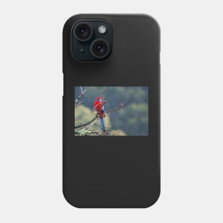 Crimson Rosella Phone Case