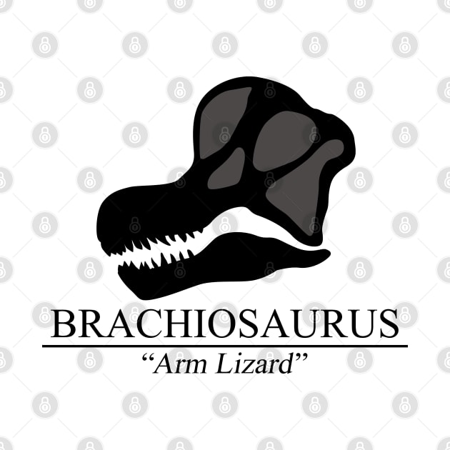 Brachiosaurus Skull by SakuraDragon