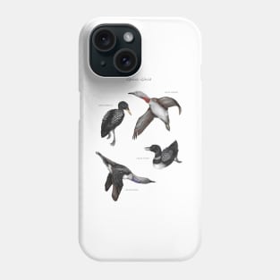 Genus Gavia Phone Case