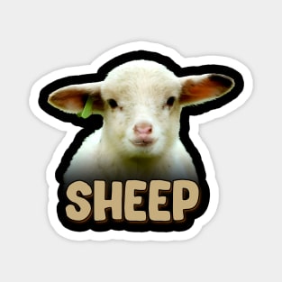 Fleecy Finesse Sheep Dreams, Trendy Tee for Wool Aficionados Magnet