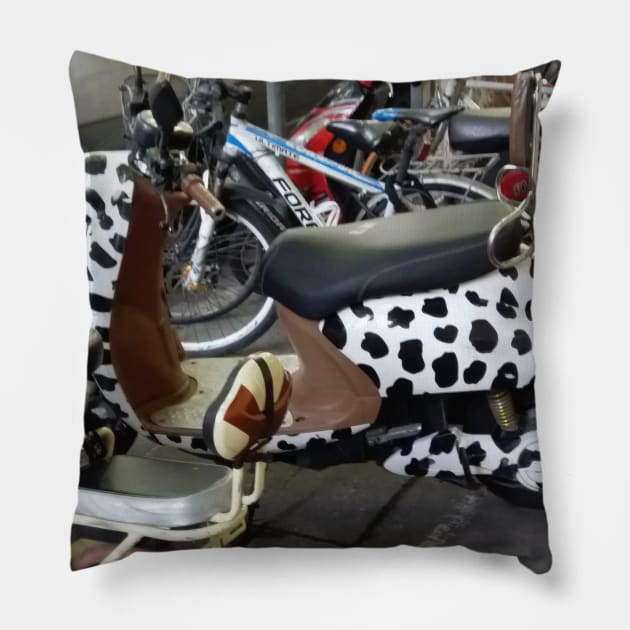 Cow scooter Pillow by Stephfuccio.com