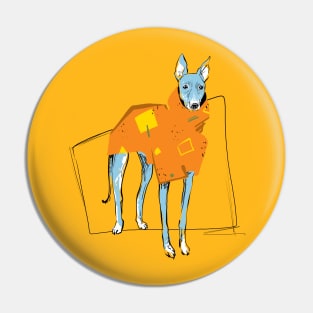 Dog in Popons whippet 1 Pin