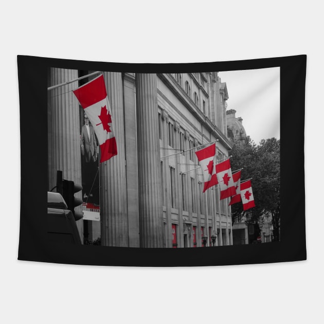 The 150th anniversary of Canada Tapestry by fantastic-designs