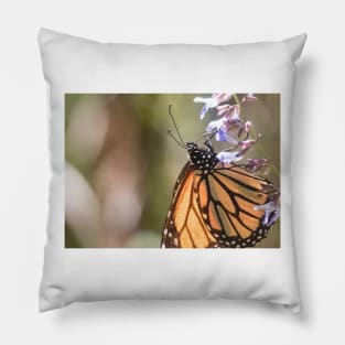 Monarchs of Mexico V Pillow