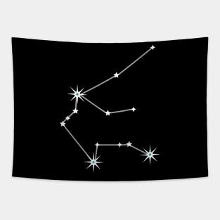 Aquarius on Black Tapestry