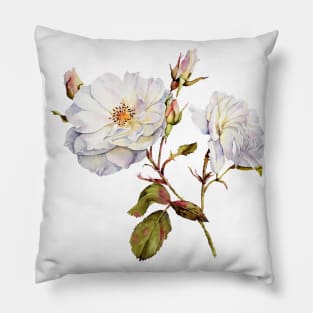 Watercolor botanical vintage Floral minimalist print- wild rose Pillow