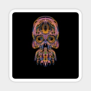 Electroluminated Skull - Peachy Magnet