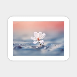 Flower Water Drop Nature Serene Tranquil Magnet