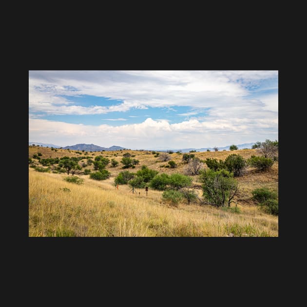 Santa Rita Mountains, Arizona by Gestalt Imagery