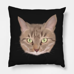 Tabby Cat Pillow