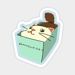 cat in a box Magnet