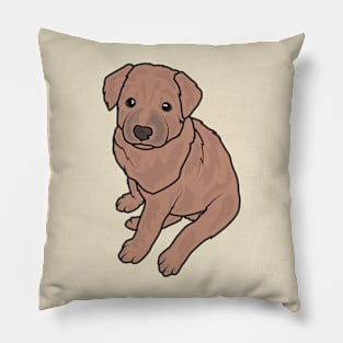 Brown Dog Pillow