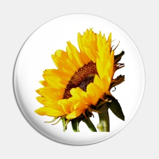 Sunflower Magic Pin