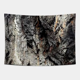 Wood, pattern, tree, nature Tapestry