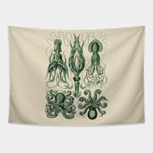 Ernst Haeckel Gamochonia Octopus Green Tapestry