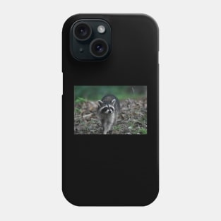 Raccoon Phone Case