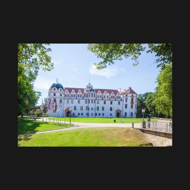 Ducal castle, Celle, Lüneburg Heath, Lower Saxony, Germany, Europe, castle by Kruegerfoto
