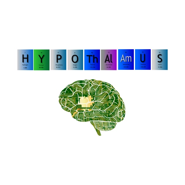 Hypothalamus digital period table by MiljanaVuckovic