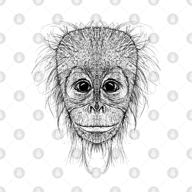 Monkey by msmart