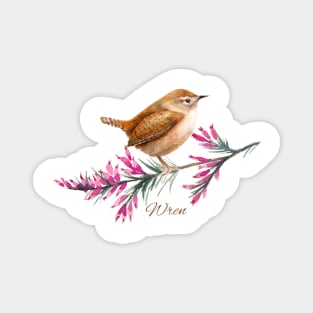 Cute little Wren Watercolour Magnet