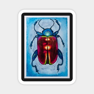 Beetle Magnet