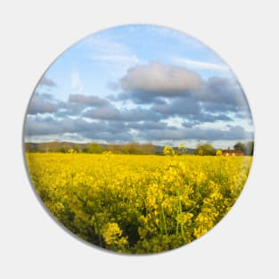 Walk in the Rapeseed Fields During Sunset Pin