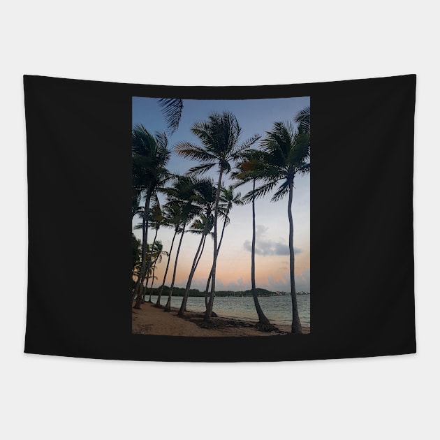 Tropical Palm Trees Tapestry by Anastasia-03