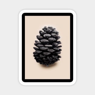 Black Pinecone Magnet