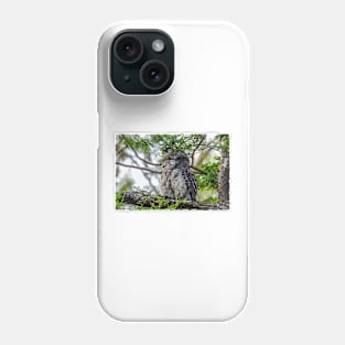 Tawny Frogmouth giving me that stare Phone Case