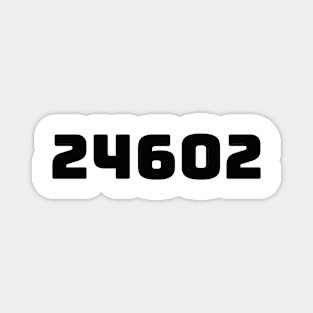 24602 Magnet