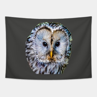 Realistic color pattern - eyes and head of an owl Tapestry