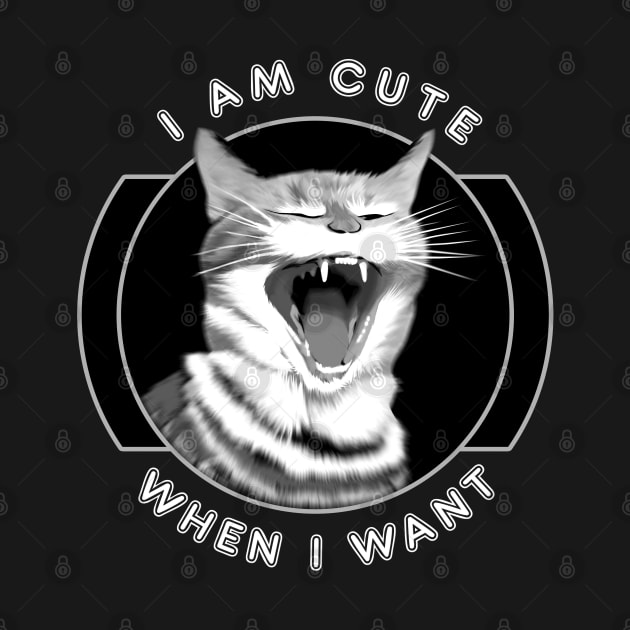 Funny cat quote by TMBTM