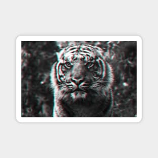 Trippy Tiger Magnet