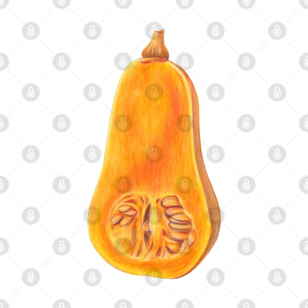 Butternut Pumpkin by VeraAlmeida