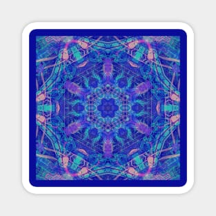 Crystal Visions 22 Magnet