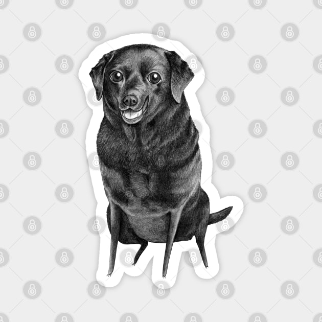 Black Labrador Magnet by Sophie Corrigan