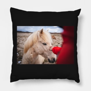 Men Meeting with Icelandic White Horse Pillow