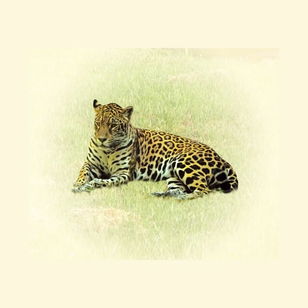 Jaguar by Guardi