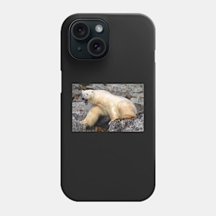 Polar bear in a Spitzberg fjord Phone Case