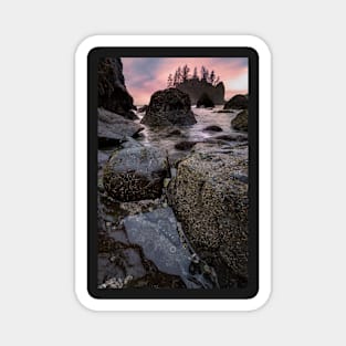 Tide Pools at Sunset Magnet