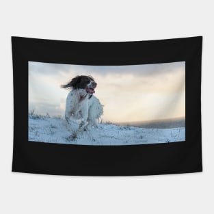 English Springer in snow Tapestry