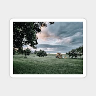 Dream Yard with Dramatic Sky Photography V2 Magnet