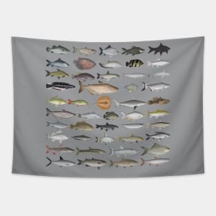 Southeast Asia Freshwater Fish Group Tapestry