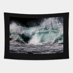 Shapes of the ocean Tapestry