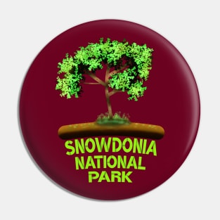 Snowdonia National Park Pin