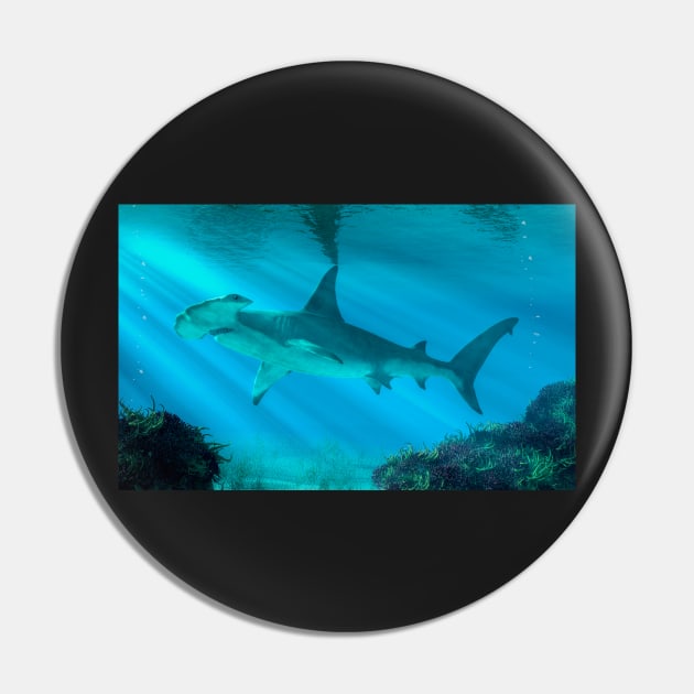 Hammerhead Shark Below the Surface Pin by DanielEskridge