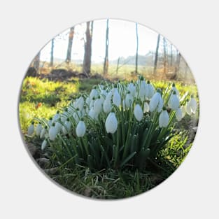 Snowdrops in the Shade Pin