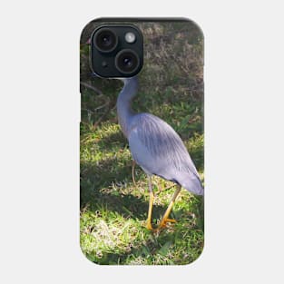 The White Face Heron! Phone Case