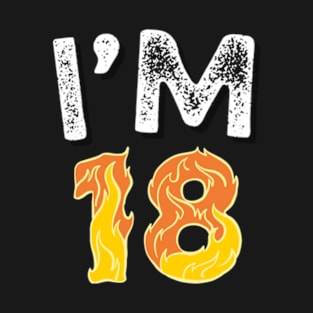 I'M 18 Happy 18 Birthday gifts T-Shirt