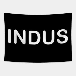 INDUS Tapestry